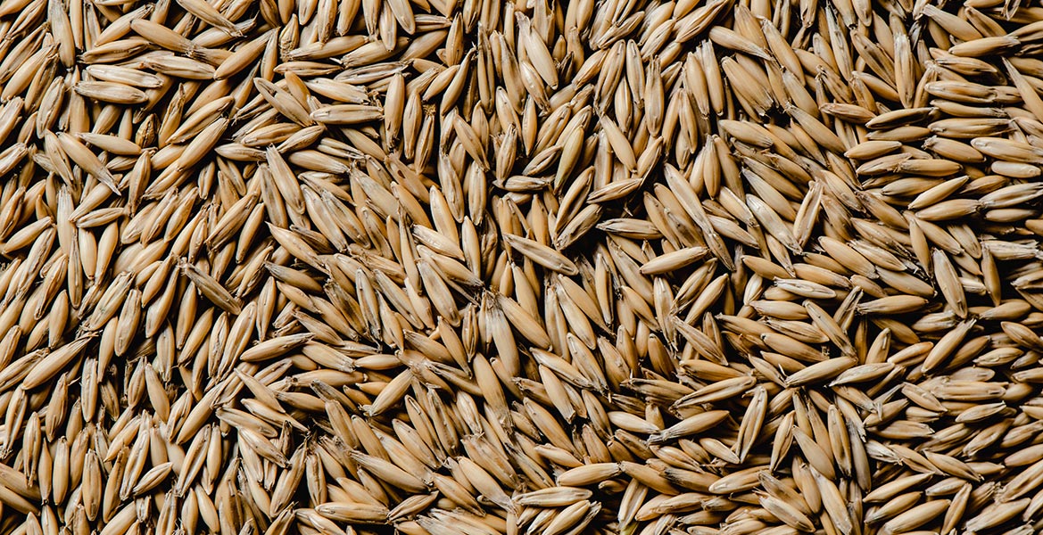 Mejora el cuidado de tu piel con el extracto de avena