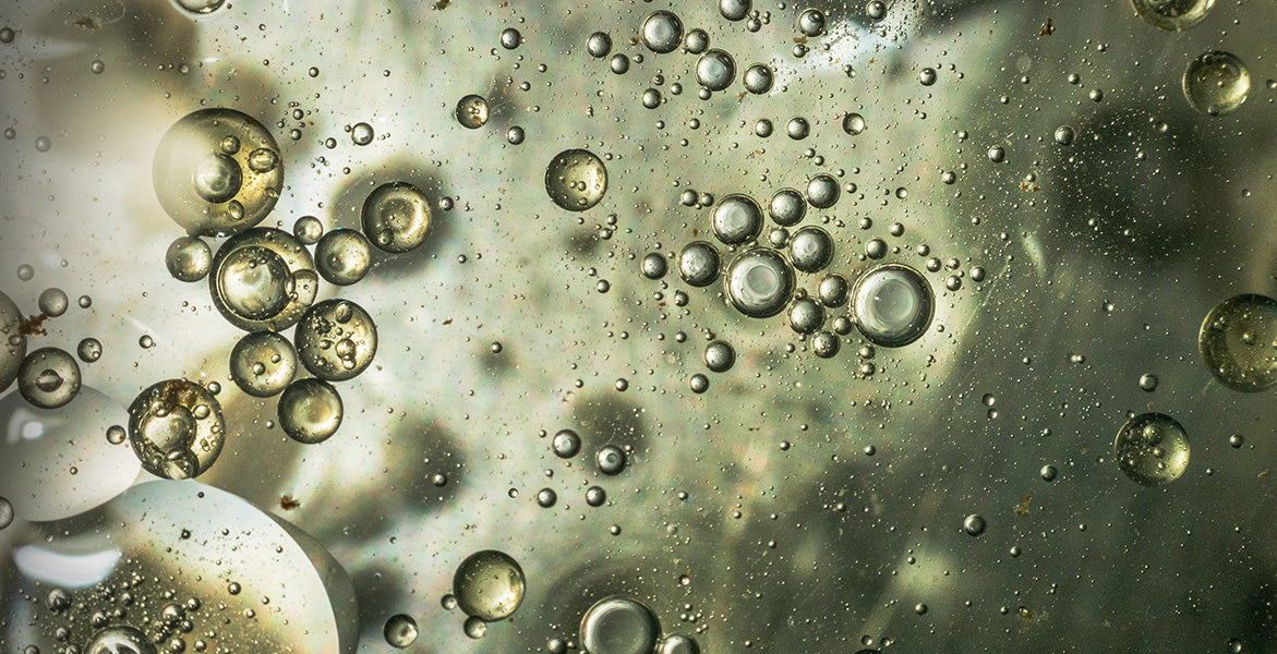 Los insaponificables del aceite de oliva y sus increíbles propiedades