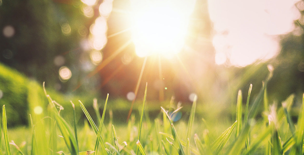 ¿Cómo cuidar la piel al aire libre?