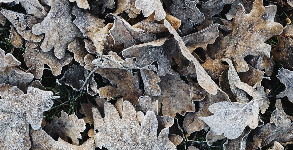 5 formas de conseguir una piel más hidratada este invierno