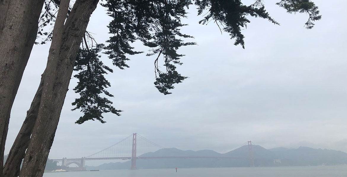 Una Postal Desde San Francisco