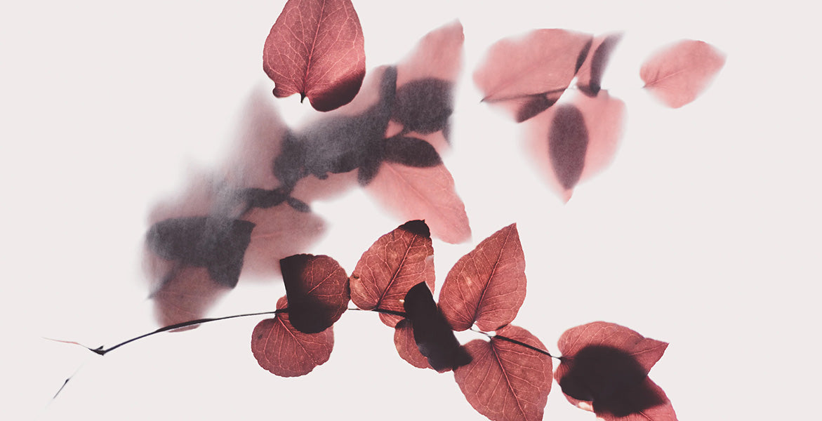 Ritual de belleza de Otoño, el arte de resetear la piel después del verano