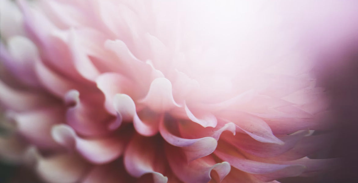 El poder de la intención: un ritual de belleza para tener la piel bonita