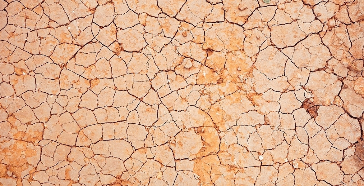 La importancia de las ceramidas para la piel seca