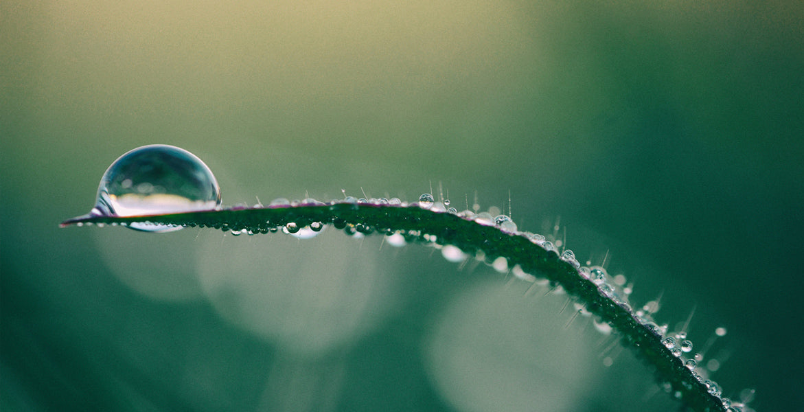 Hablemos de la pérdida de agua transepidérmica