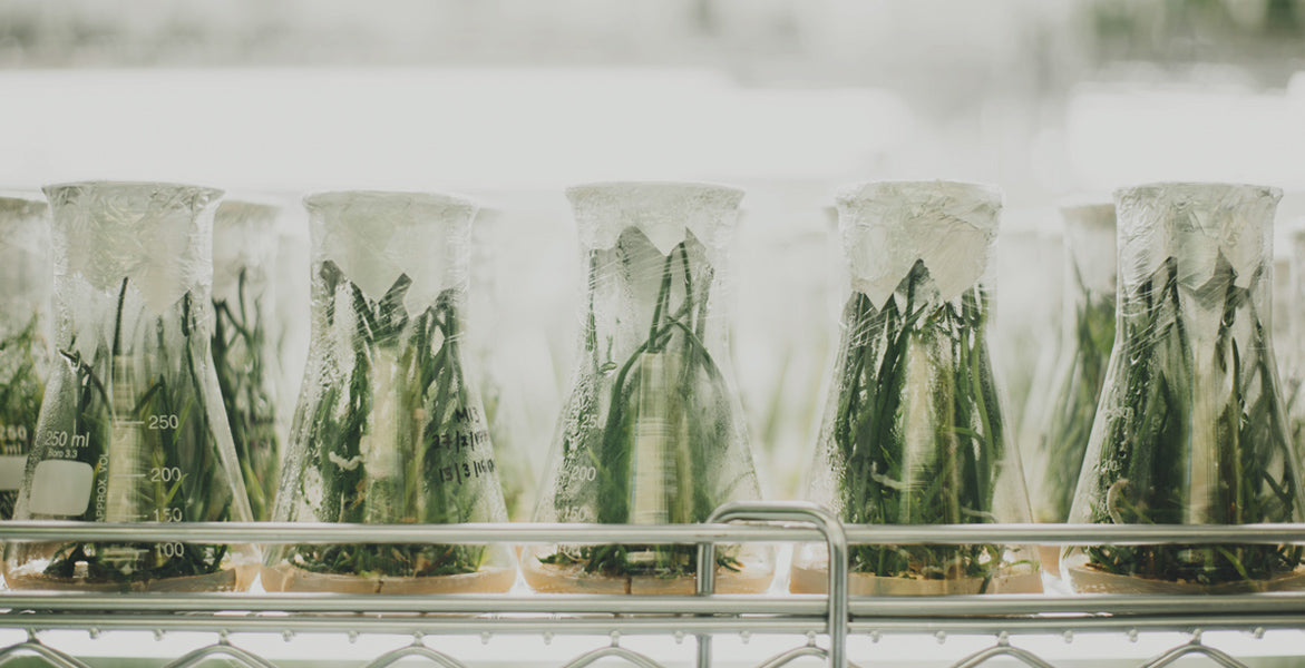 Un Problema De Formulación Natural